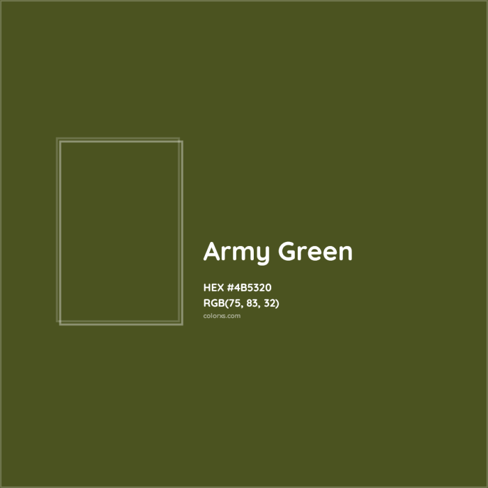 Army green dress what color shoes