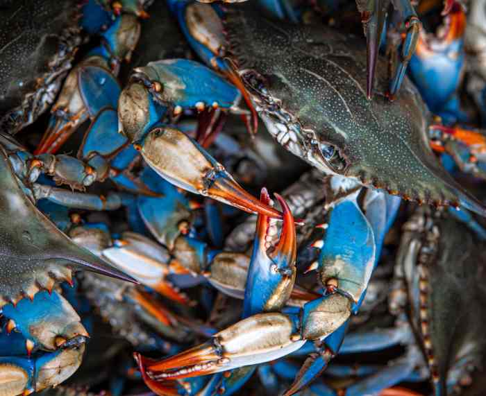 How to cook blue crab filipino style